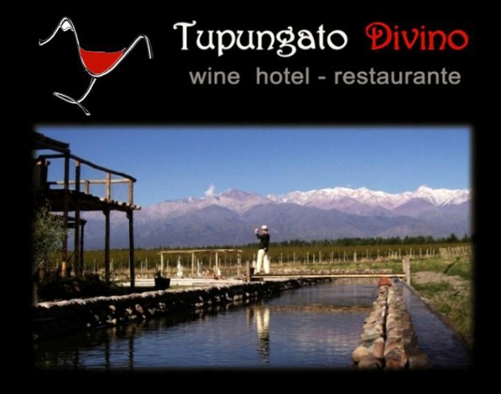Tupungato Divino Villa Exterior photo